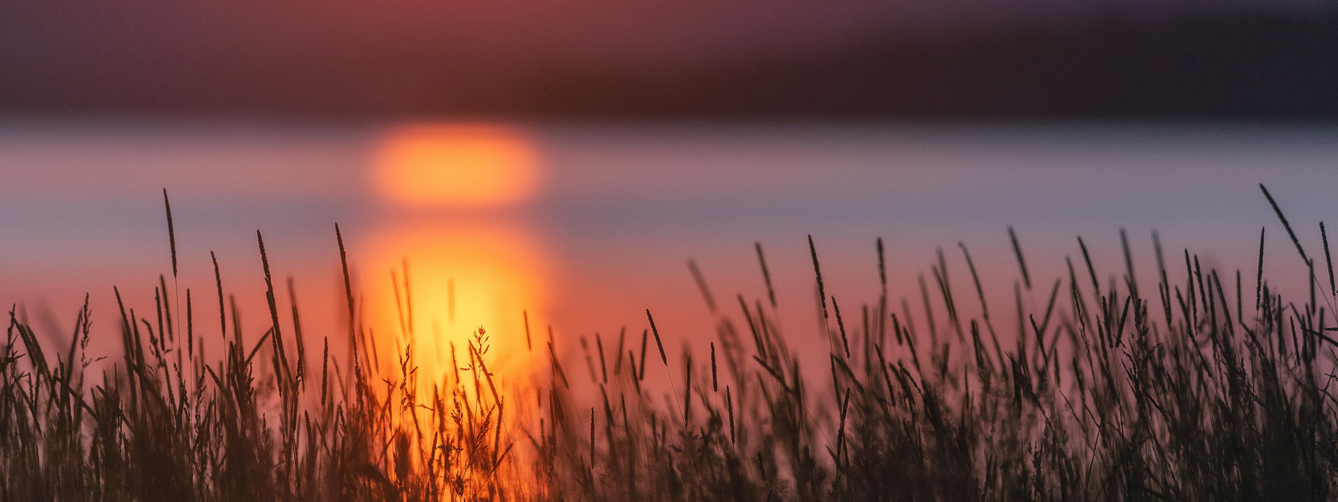 La crisi climatica come crisi sanitaria 