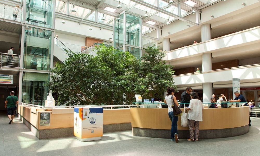 Campus Bio-Medico, il 100% dell’energia elettrica acquistata da fonti rinnovabili