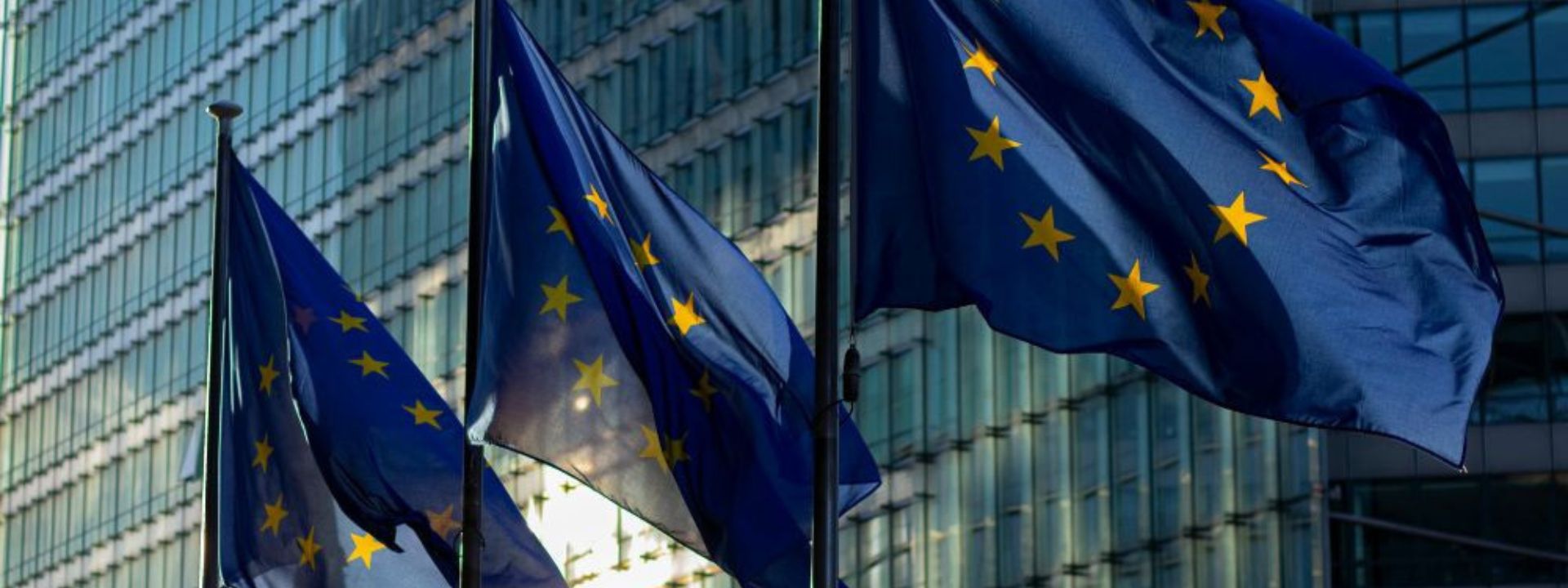 Per Bruxelles il nostro  SSN è un pilastro la pieno di crepe