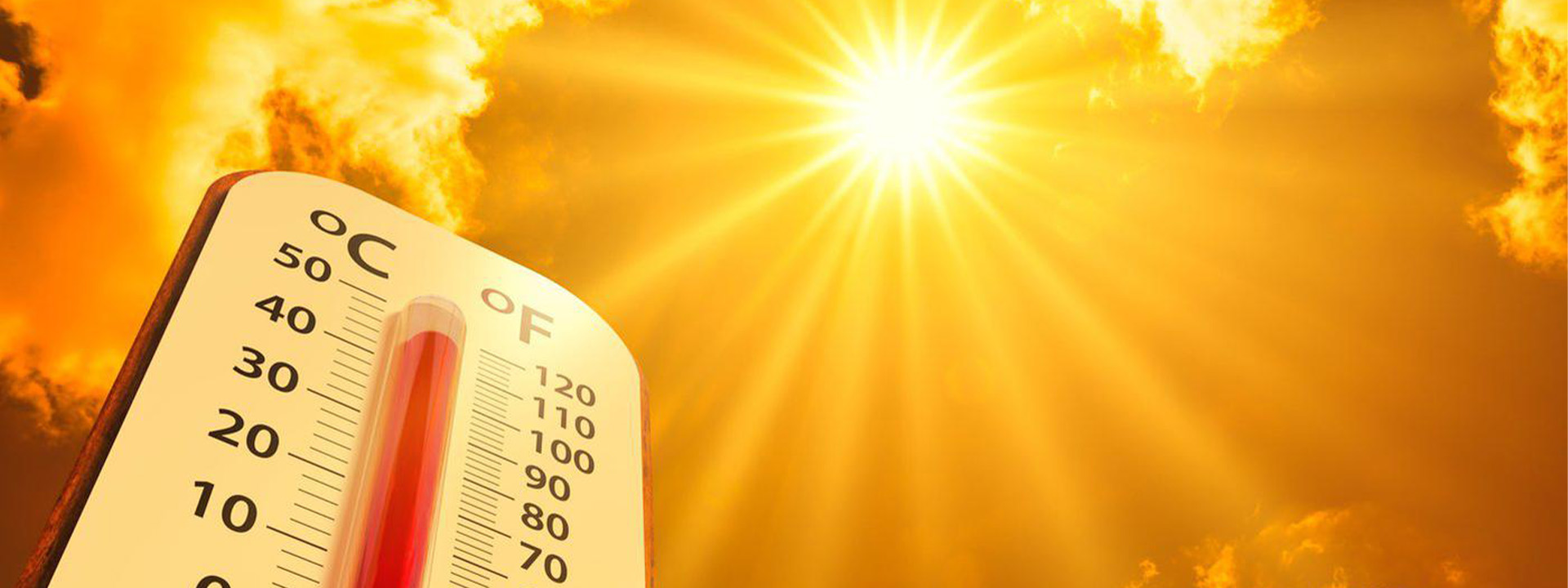 Cambiamenti climatici: un killer da 24.000 vittime in una sola estate 