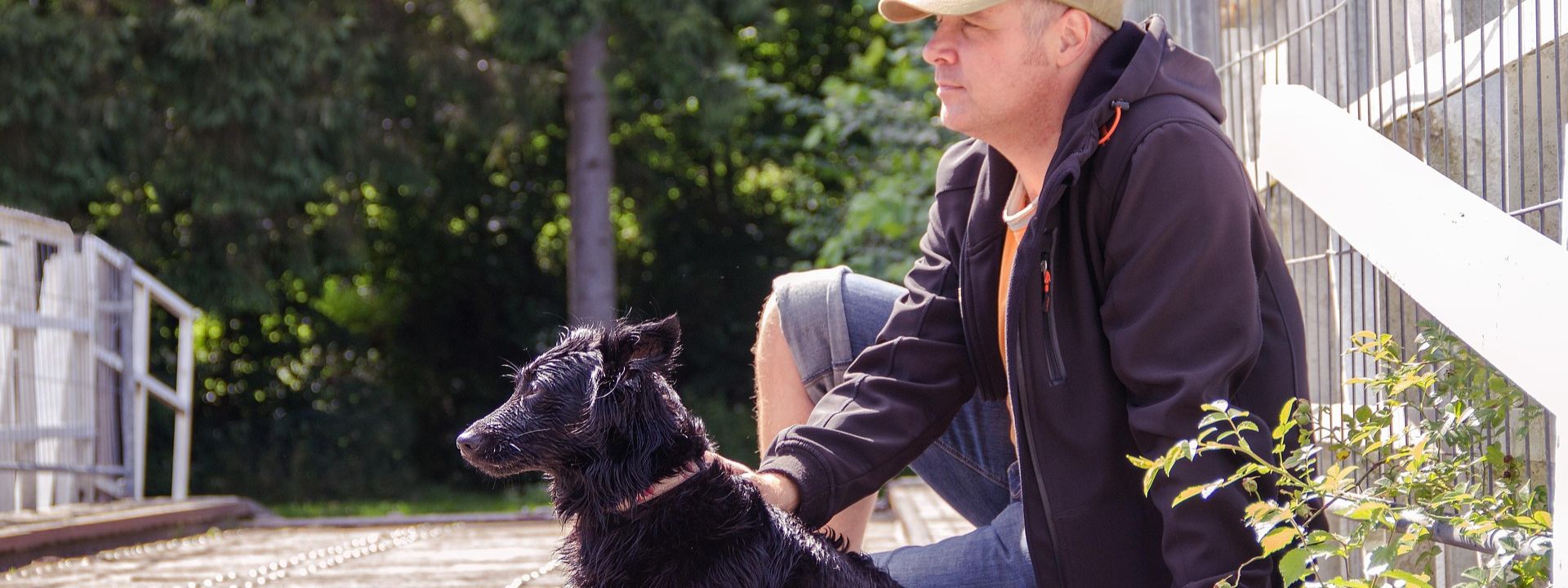  Primato italiano per contagi da leishmaniosi umana