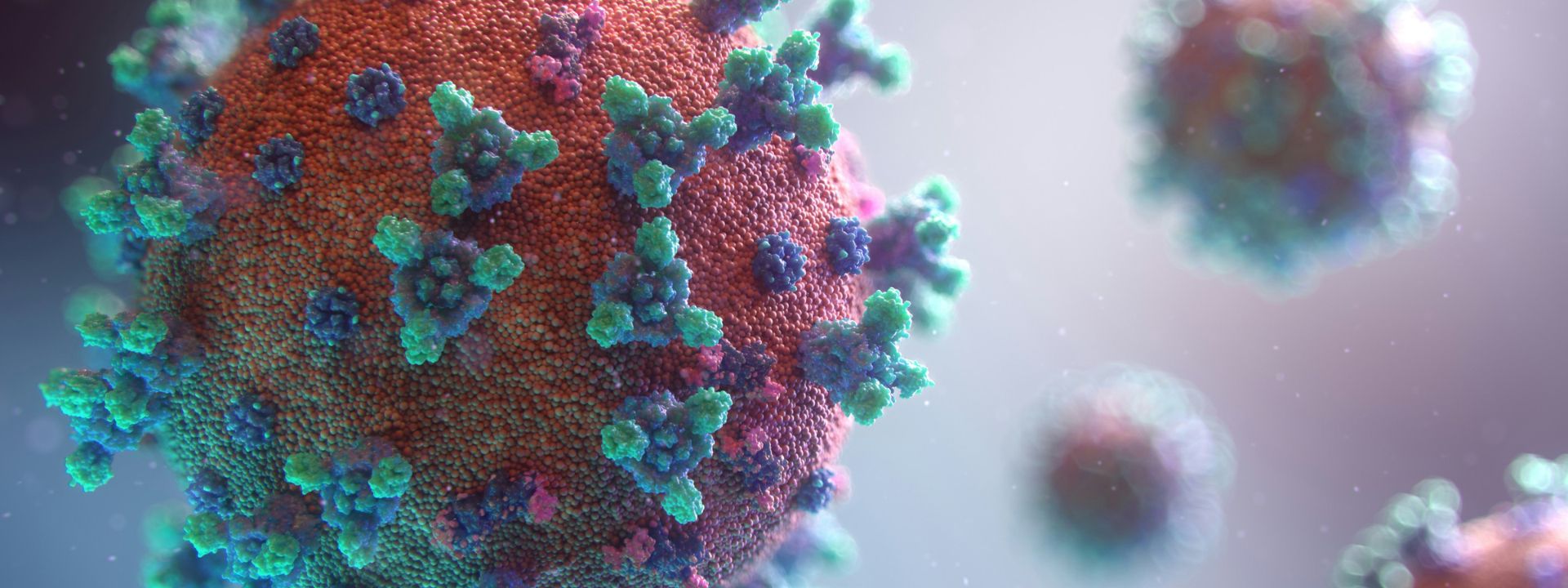Nessun pericolo “Hantavirus” in Italia