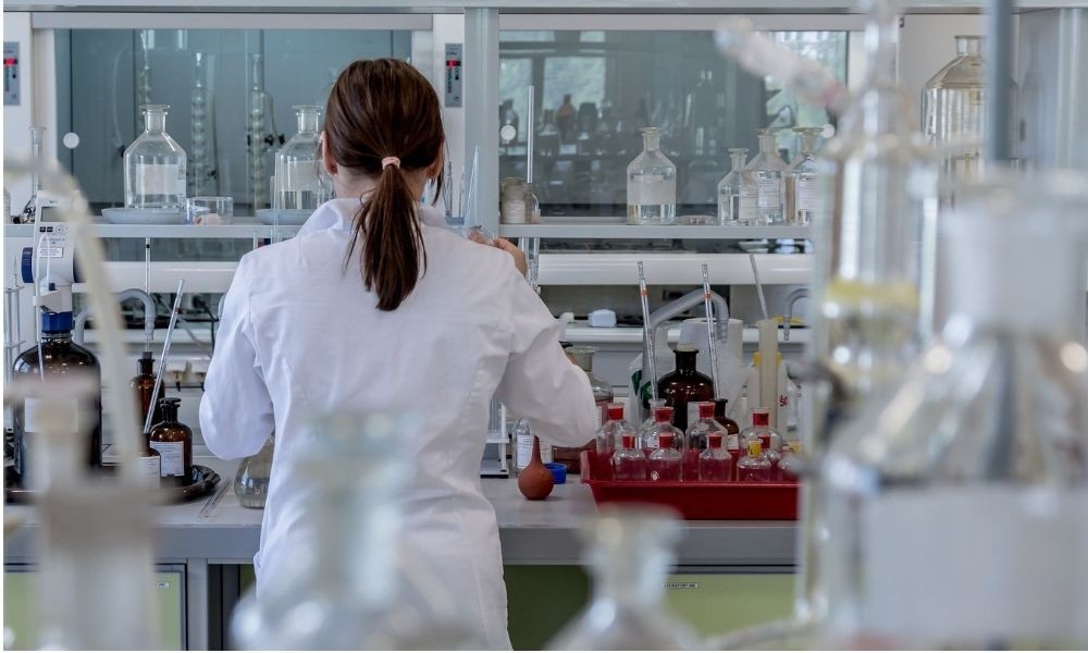 Gemelli: una ricerca rivela che il microbiota può anticipare di anni il rischio di malattie croniche